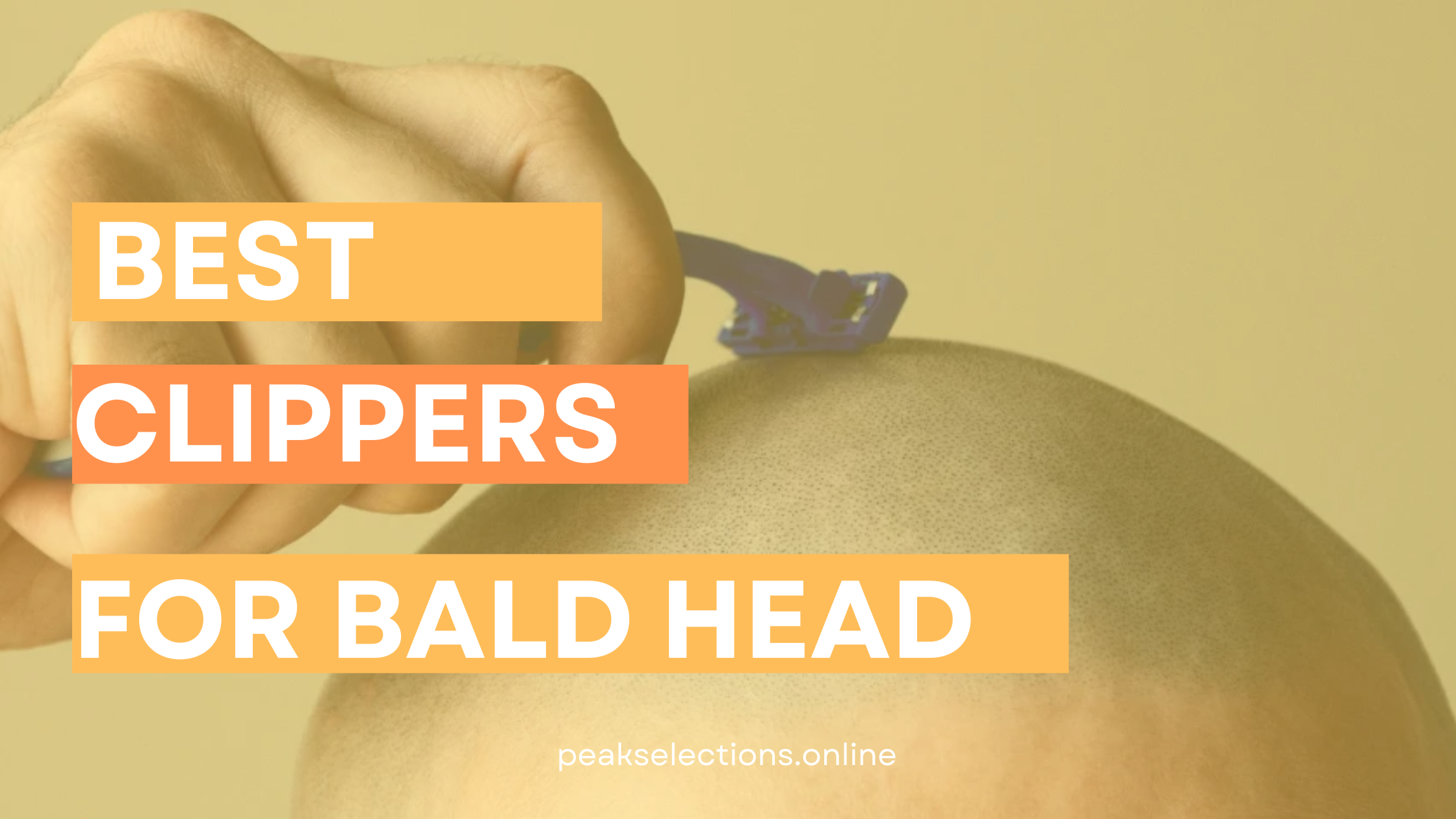 Best clippers for bald head