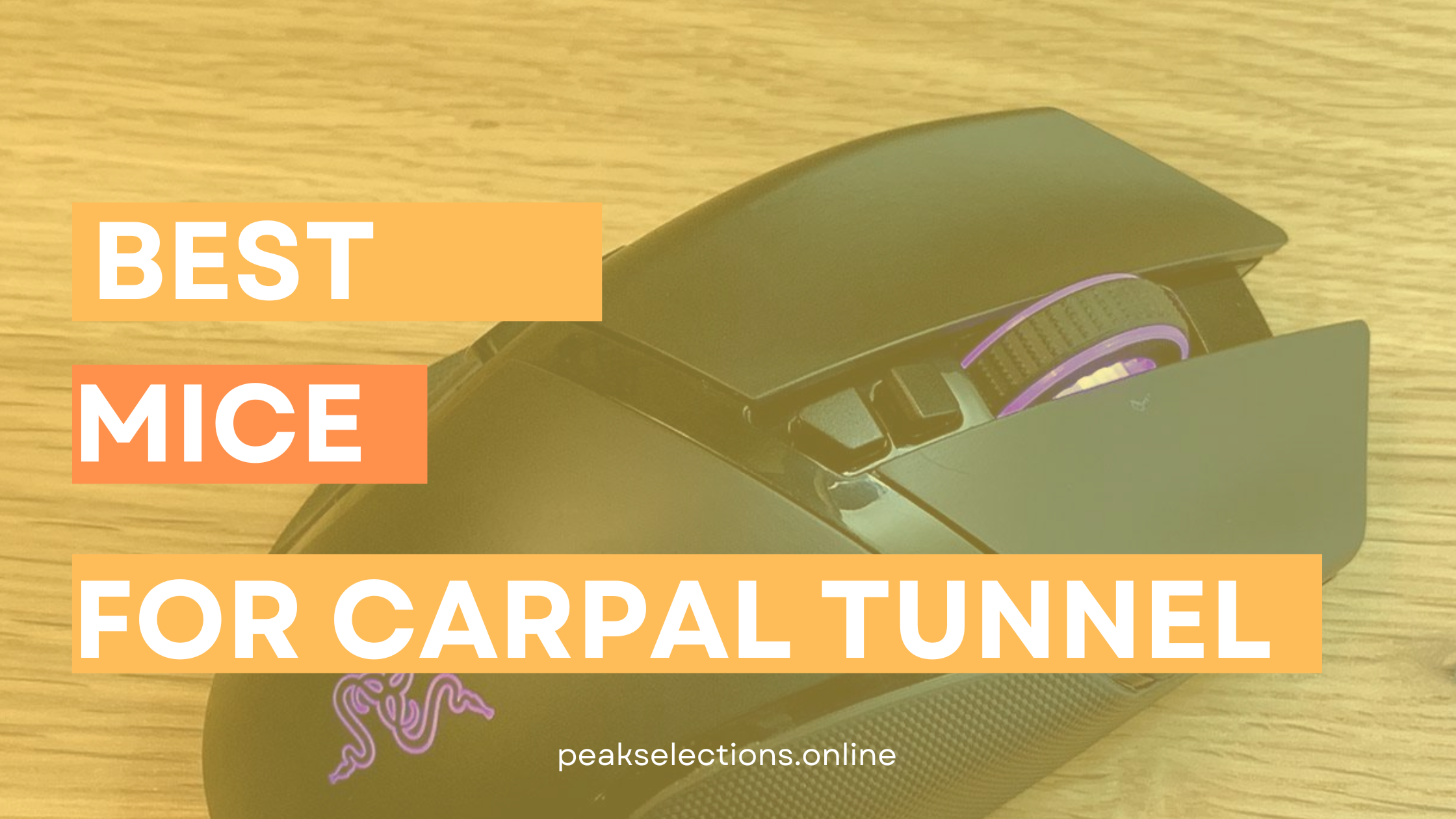 Best Mouse for Carpal Tunnel in 2023